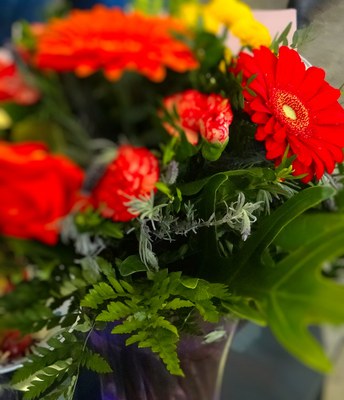 Herzliche Glückwünsche zum Frauentag