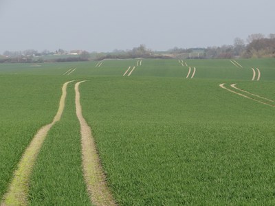 Ostergrüße des Landesvorstandes